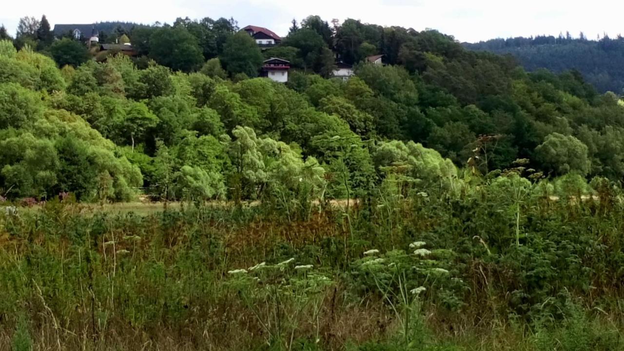 Ferienhaus Im Ederbergland Hatzfeld Dış mekan fotoğraf